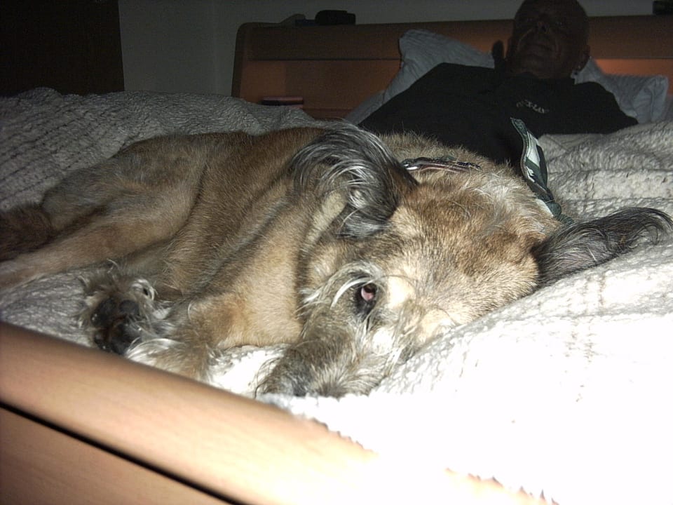 Bettentest auf eigenr Decke Gasthof Pension Sternknöckel