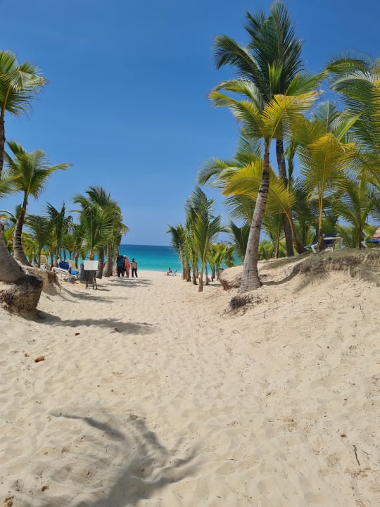 Strand Hotel Riu Republica - Adults only