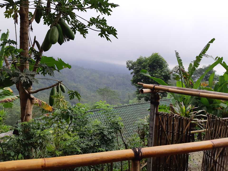 Ausblick von unserer Terrasse  Sang Giri - Mountain Glamping Camp