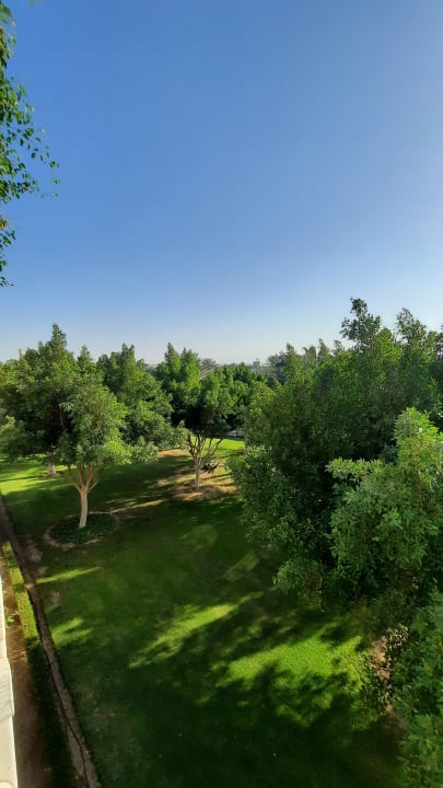 Ausblick Desert Rose