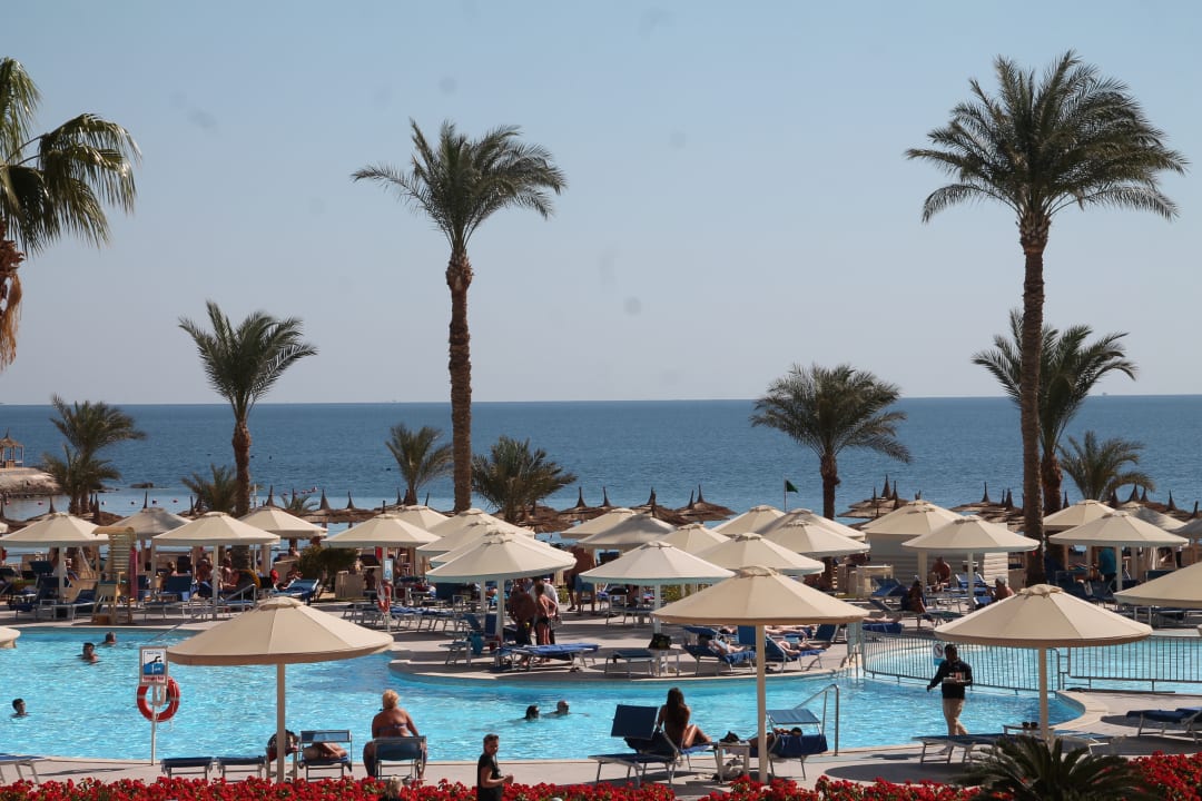 Pool Beach Albatros Resort