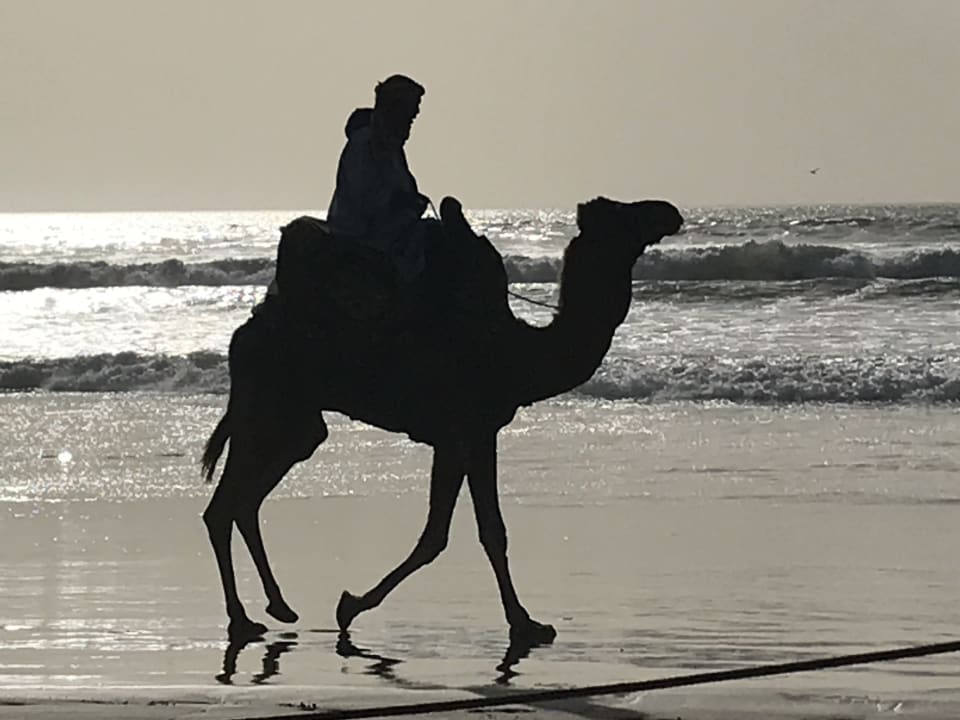 Sport & Freizeit Iberostar Waves Founty Beach