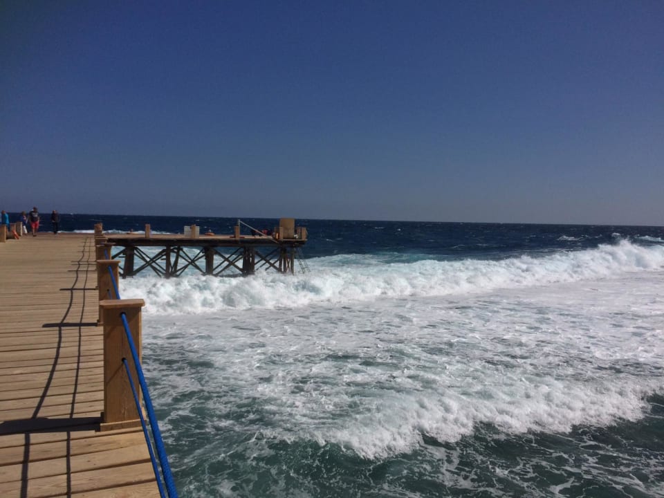 Strand Pickalbatros Sea World Resort - Marsa Alam