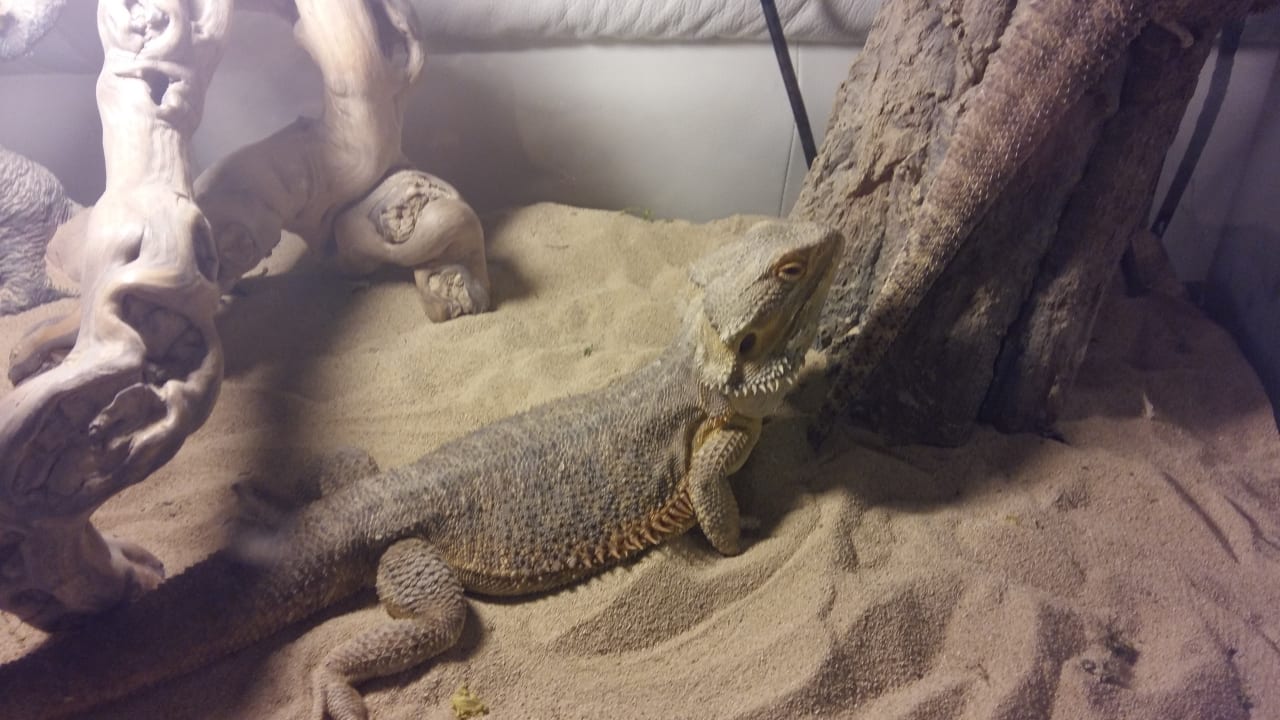 Sonstiges Hotel San Siro Fiera