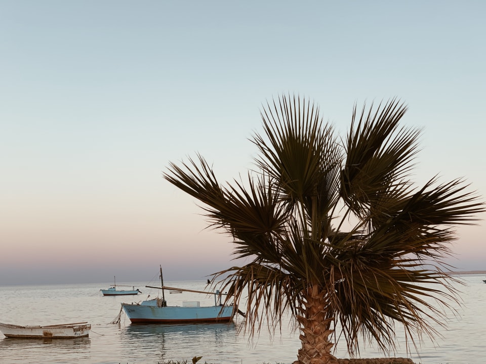 Strand Meraki Resort (Adults Only)