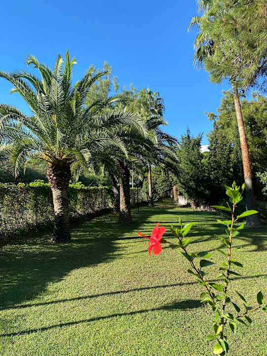 Gartenanlage Asteria Collection Side