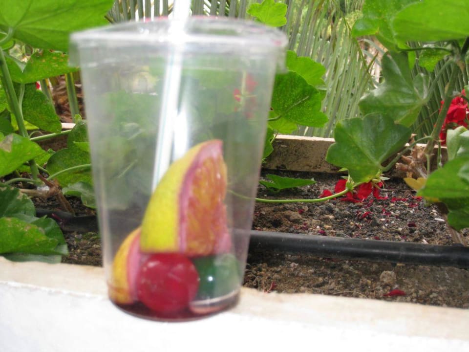 Hoteltypische Sangria Tabaiba Princess