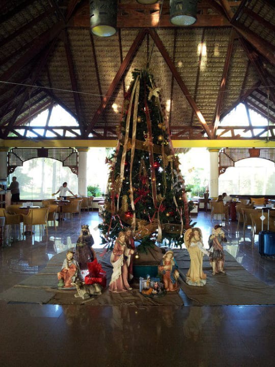 Weihnachtsbaum VIK Hotel Arena Blanca