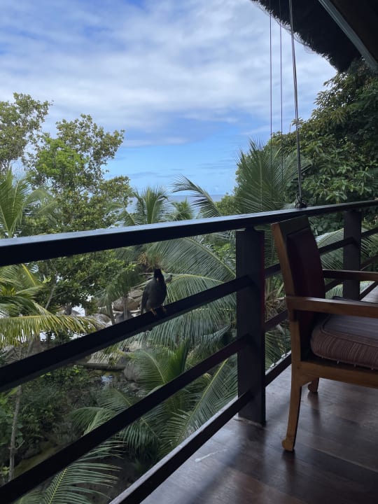 Ausblick Constance Lemuria