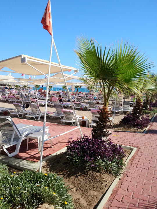 Strand Hotel Delphin Diva