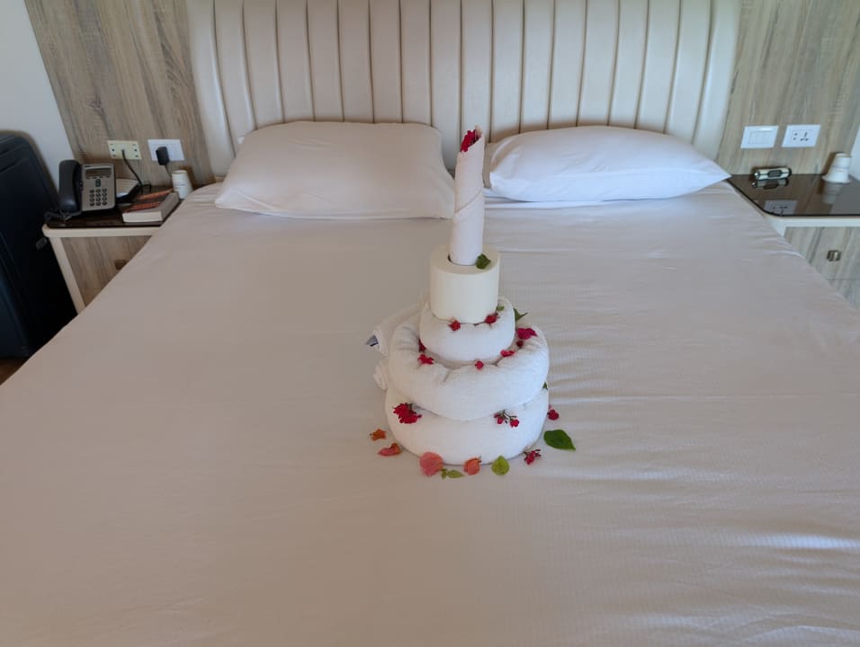 Zimmer Pickalbatros Citadel Resort