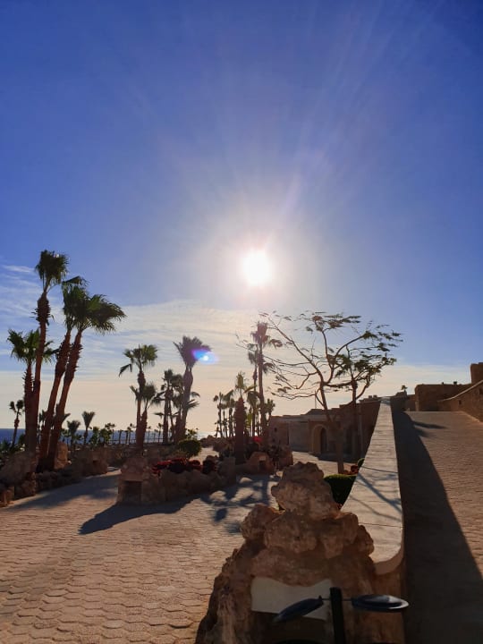 Gartenanlage Pickalbatros Citadel Resort