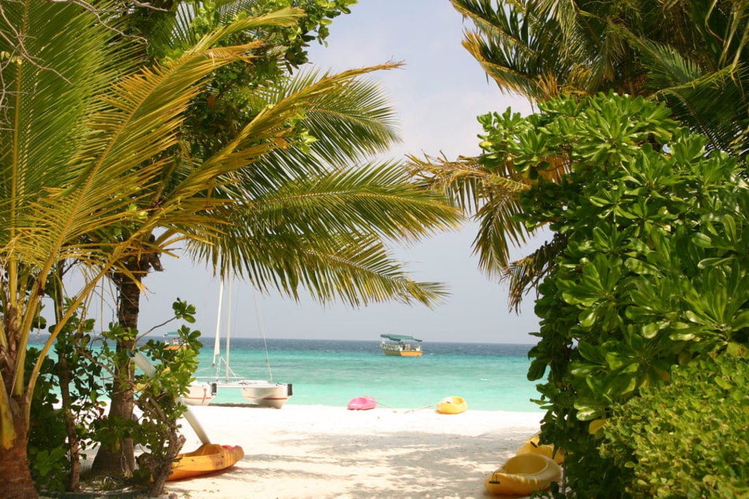 Hier geht's zum Meer Summer Island Maldives