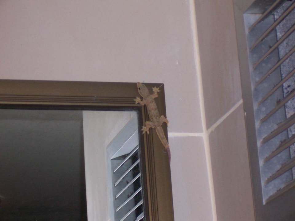 Franzl Botany Beach Resort