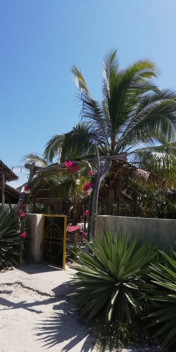 Außenansicht Summer Dream Lodge