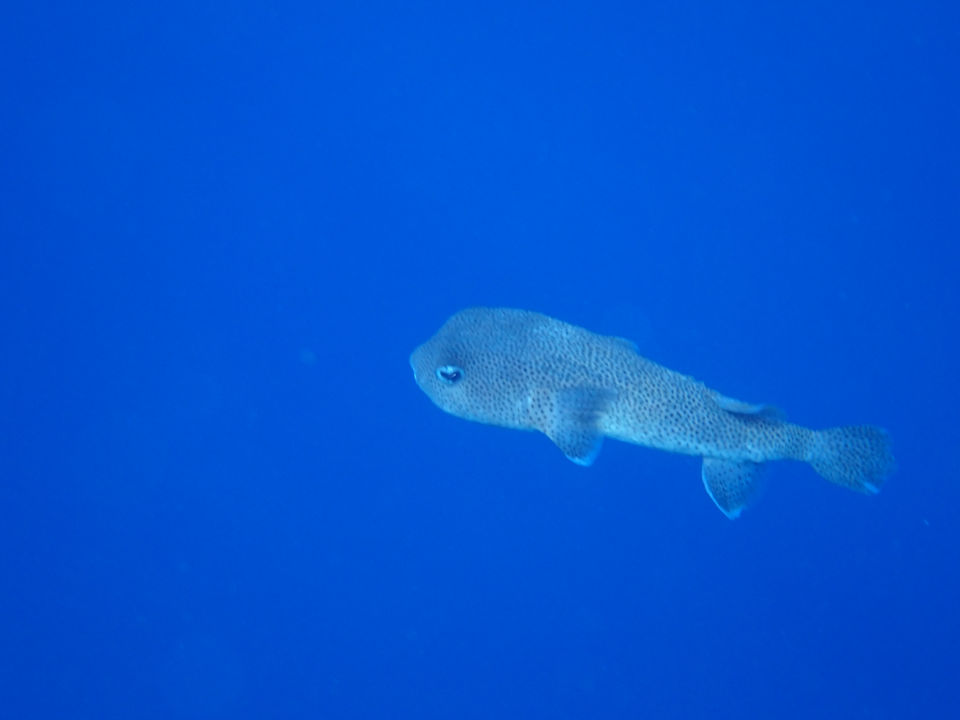 Strand Diamond Beach by Pearl Resort