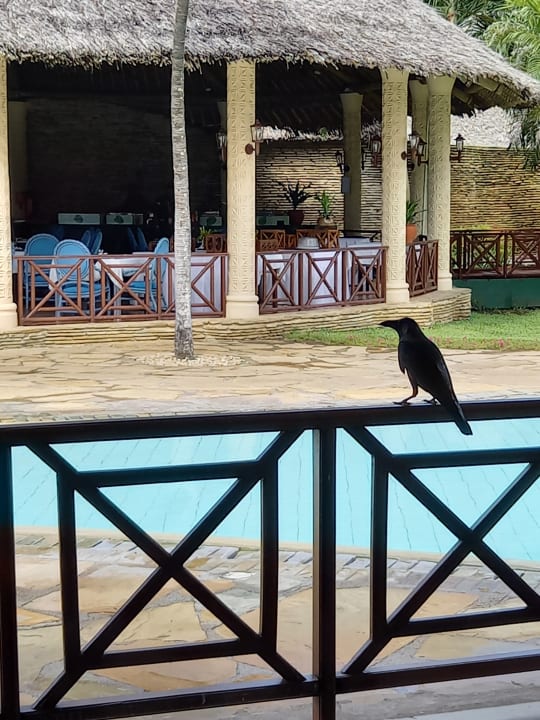 Pool Neptune Paradise Beach Resort & Spa