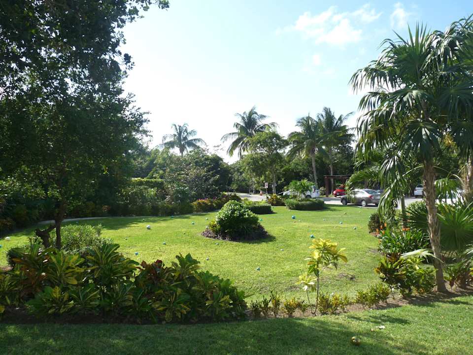 Excelente BlueBay Grand Esmeralda