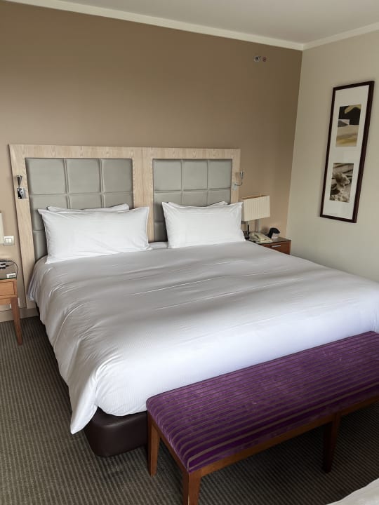 Zimmer Hilton Evian-les-Bains