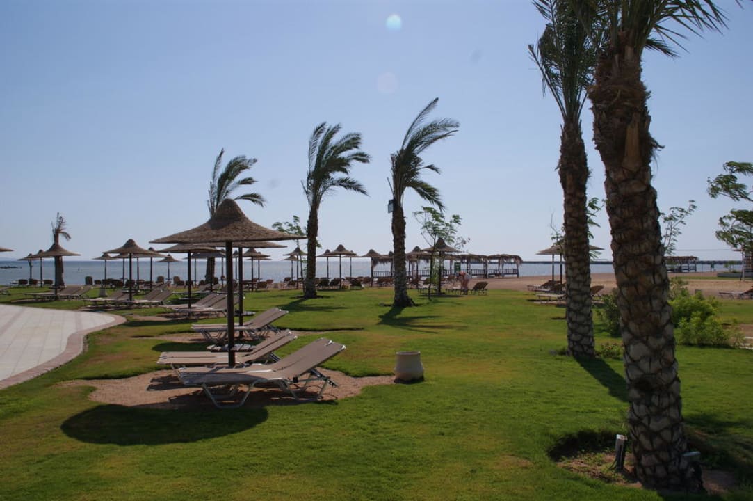Trawa na plaży  JAZ Aquamarine Resort