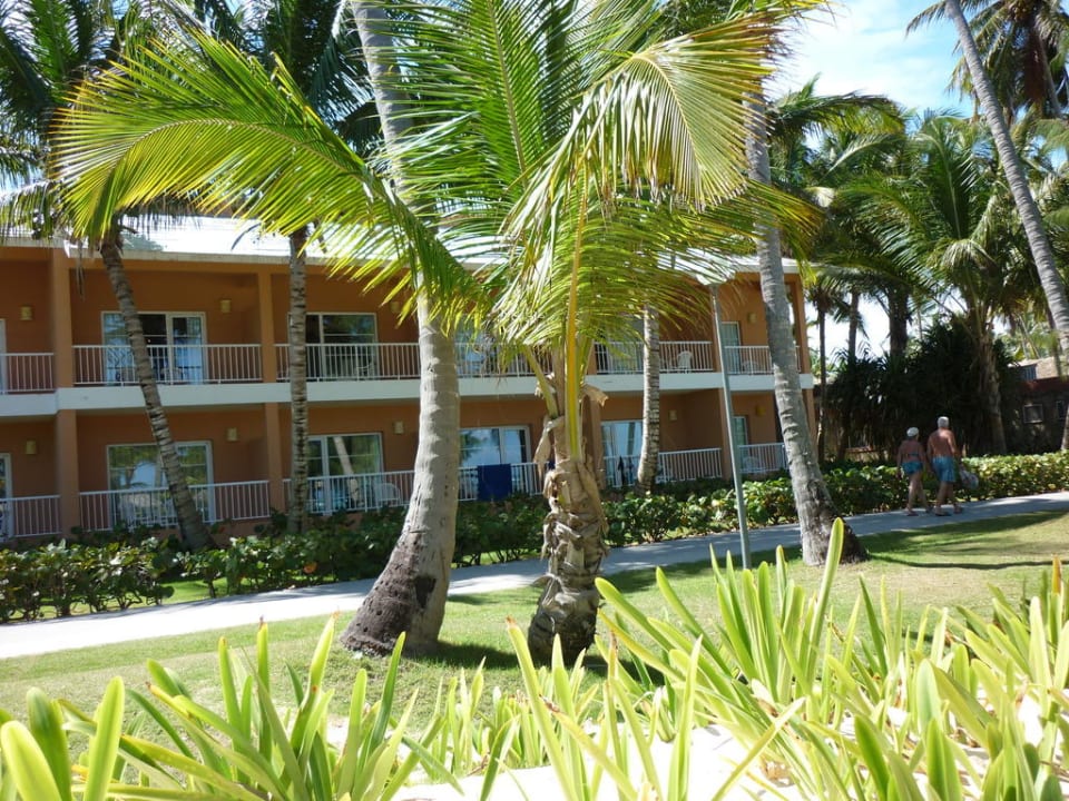 Wohnhäuser Hotel Grand Palladium Palace Resort, Spa & Casino