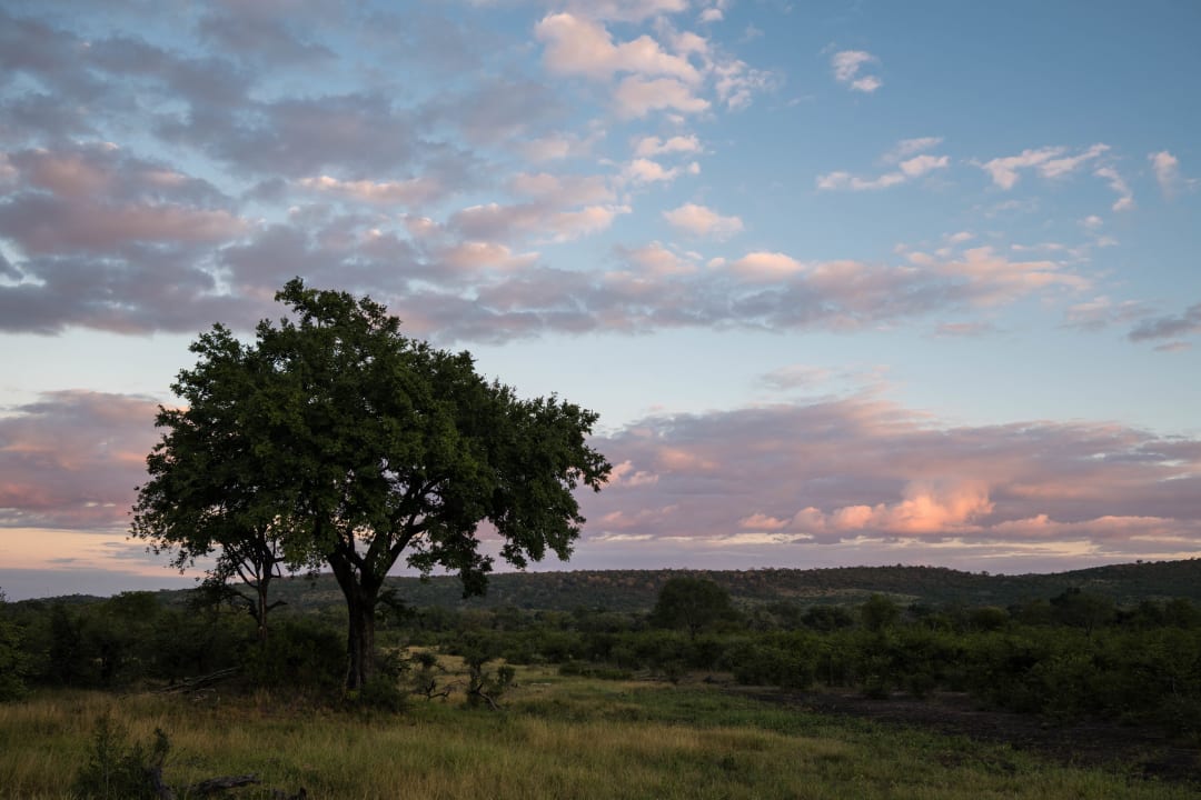 Ausblick Punda Maria Rest Camp