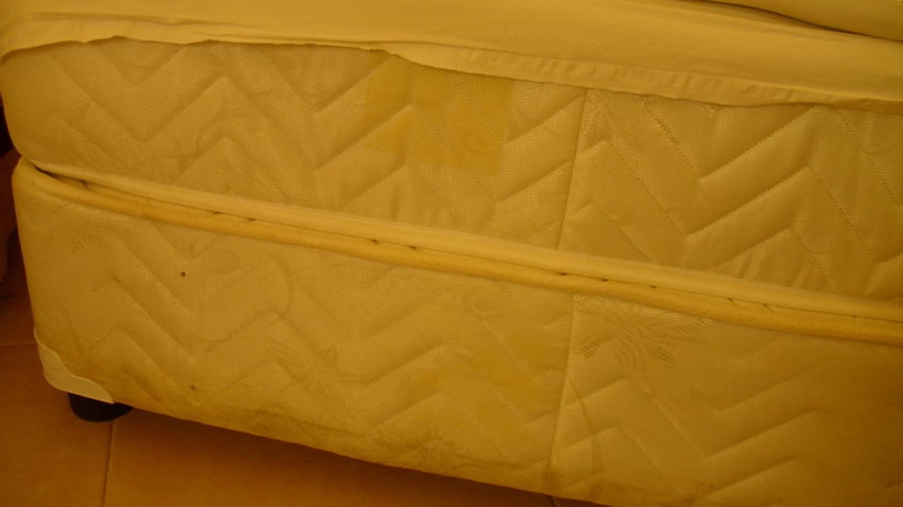 Zustellbett voller Dreck Hotel Orfeus Park