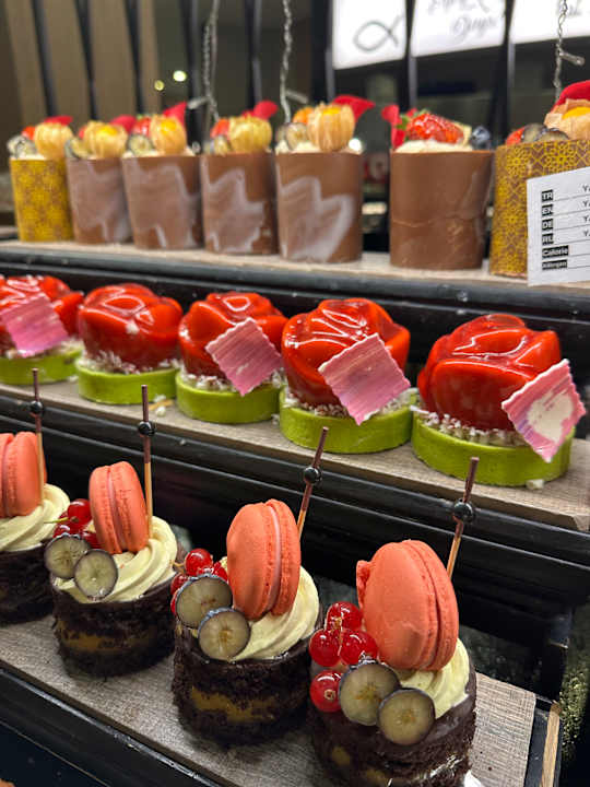 Gastro Delphin BE Grand