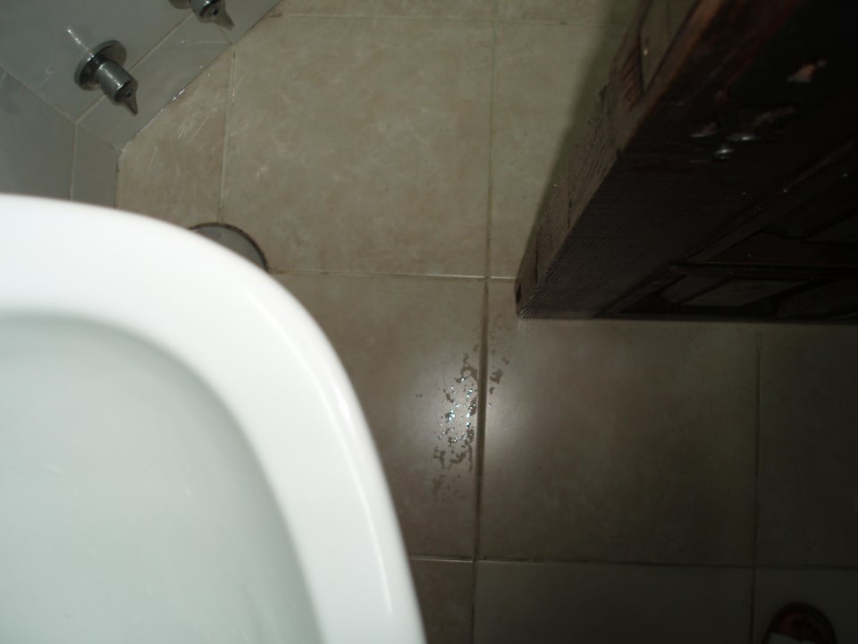 EZ, Bad 1: bei geöffneter Tür, dahinter ist das WC Hotel Parque Tropical