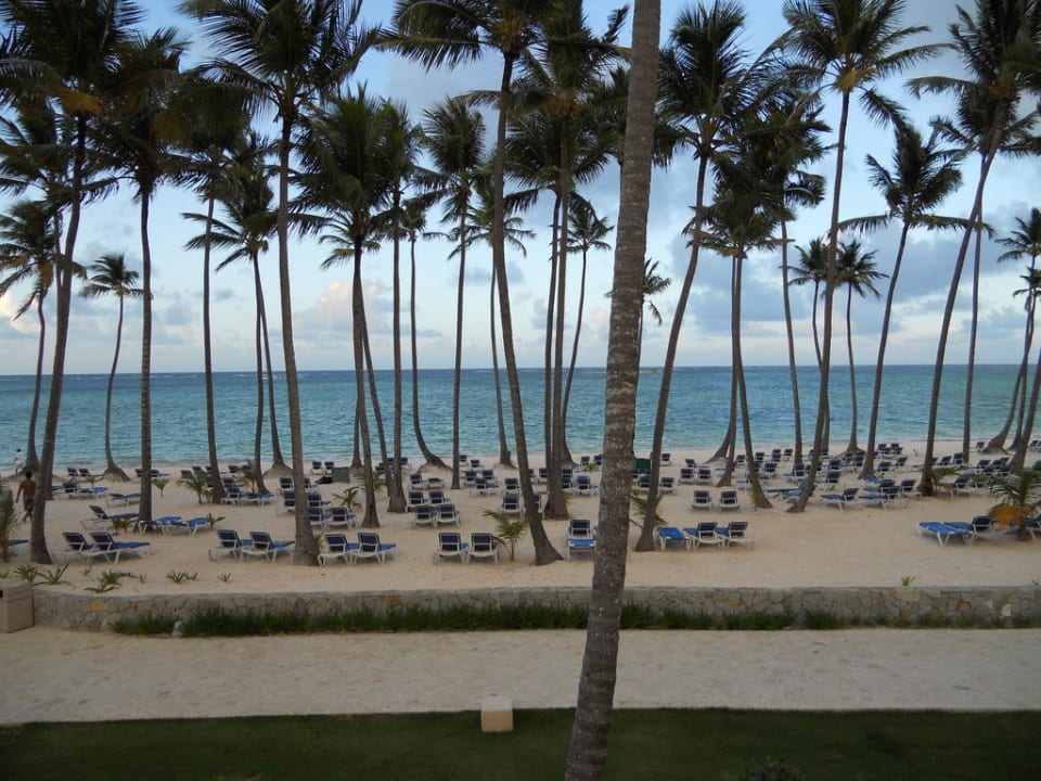 Ausblick Zimmer  Barceló Bávaro Palace