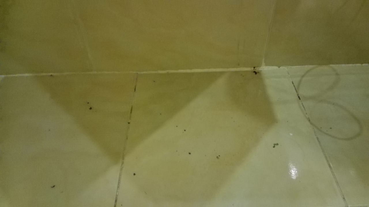 Zimmer Giftun Azur Resort