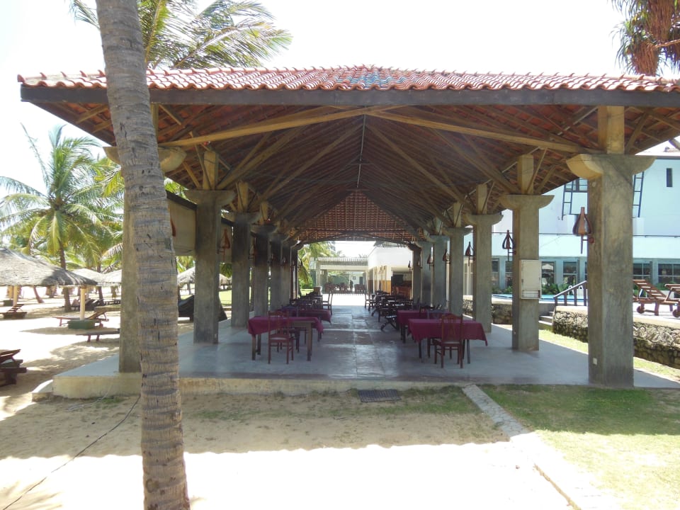 Terrasse in der Gartenanlage Goldi Sands Hotel