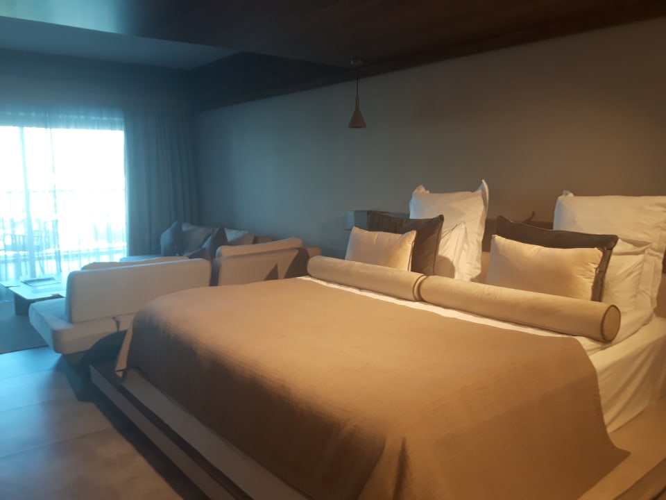 Zimmer Paloma Finesse