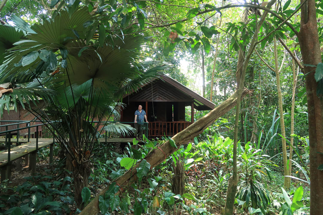 Zimmer Khao Sok Jungle Resort