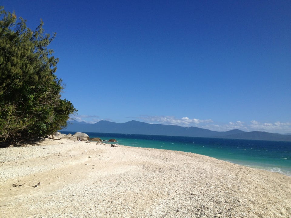 Fitzroy Island Resort Fitzroy Island Resort