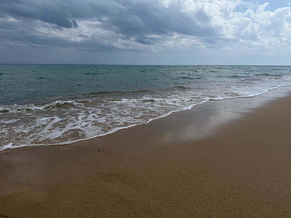 Strand Hotel Royal Nozha