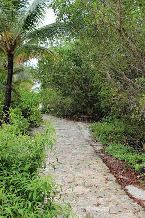 Weg zum Salzwasserpool Grand Palladium Kantenah Resort & Spa