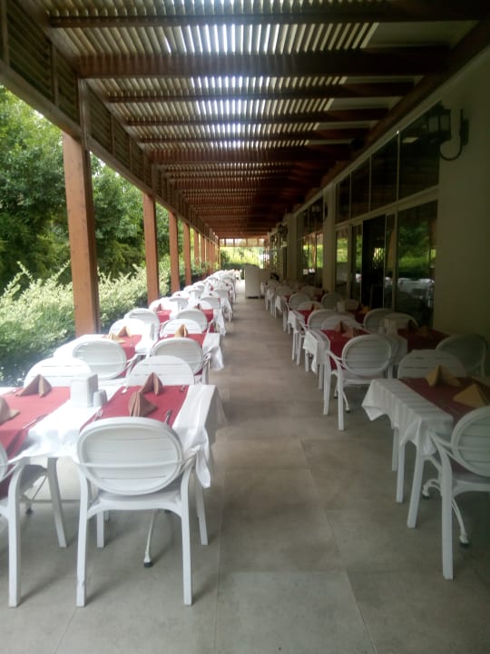 Gastro Well Palace Side