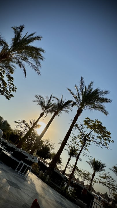 Ausblick The Grand Palace - Adults only