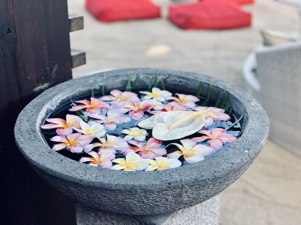 Gartenanlage Palm Hotel & Spa