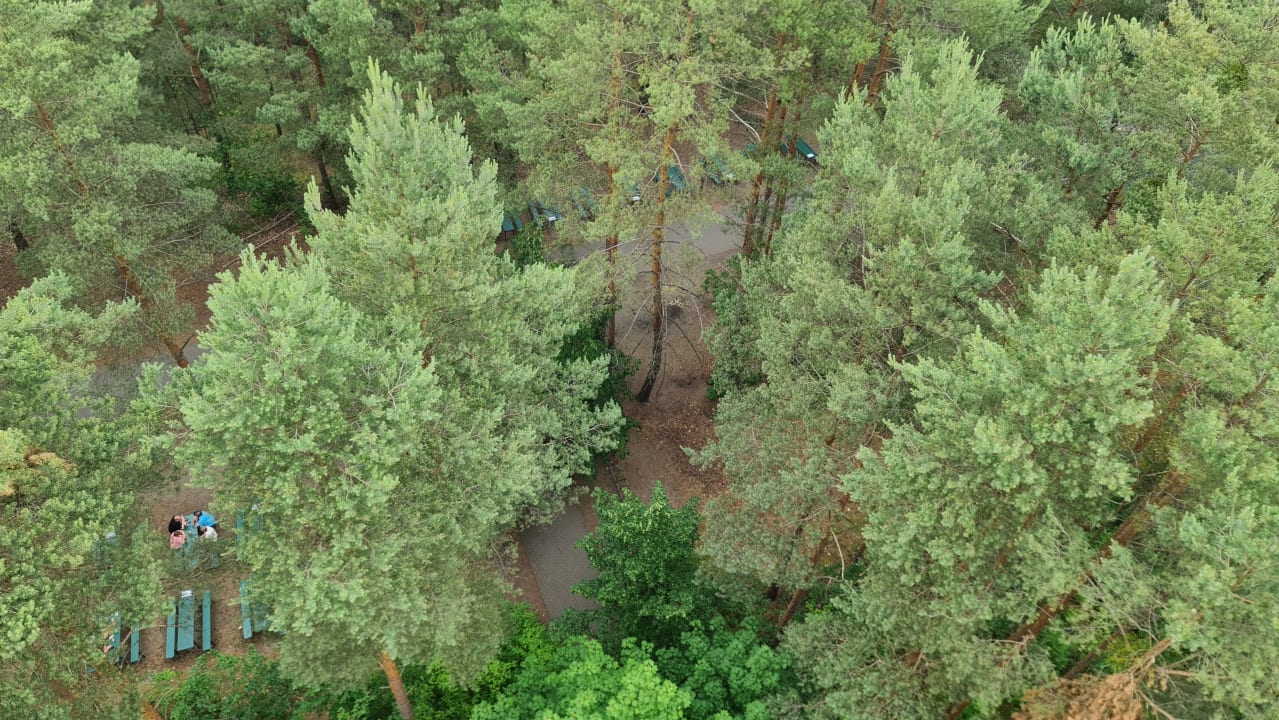 Ausblick Familienpark Senftenberger See