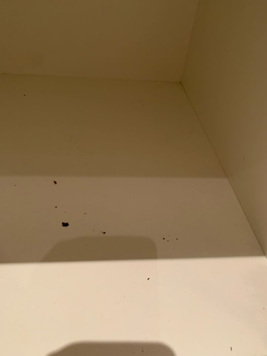 Zimmer H+ Hotel Köln Brühl