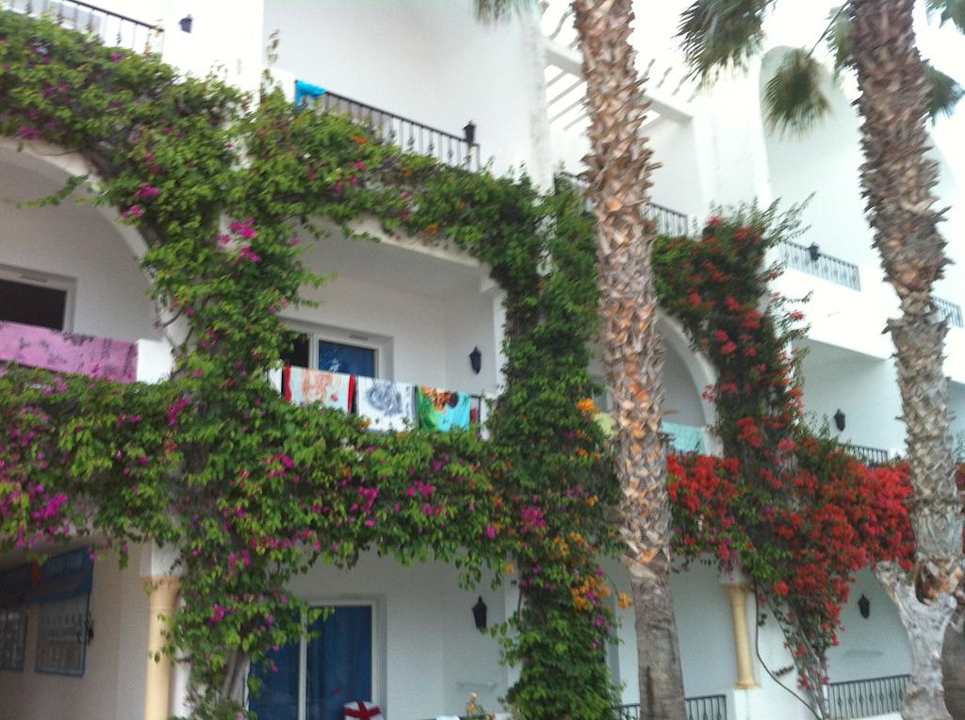 Außen Hotel Nesrine