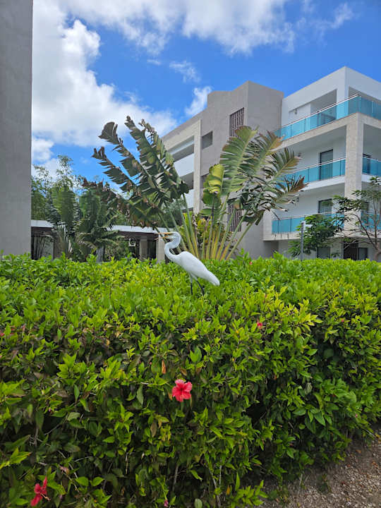 Gartenanlage Serenade All Suites - Adults Only Resort