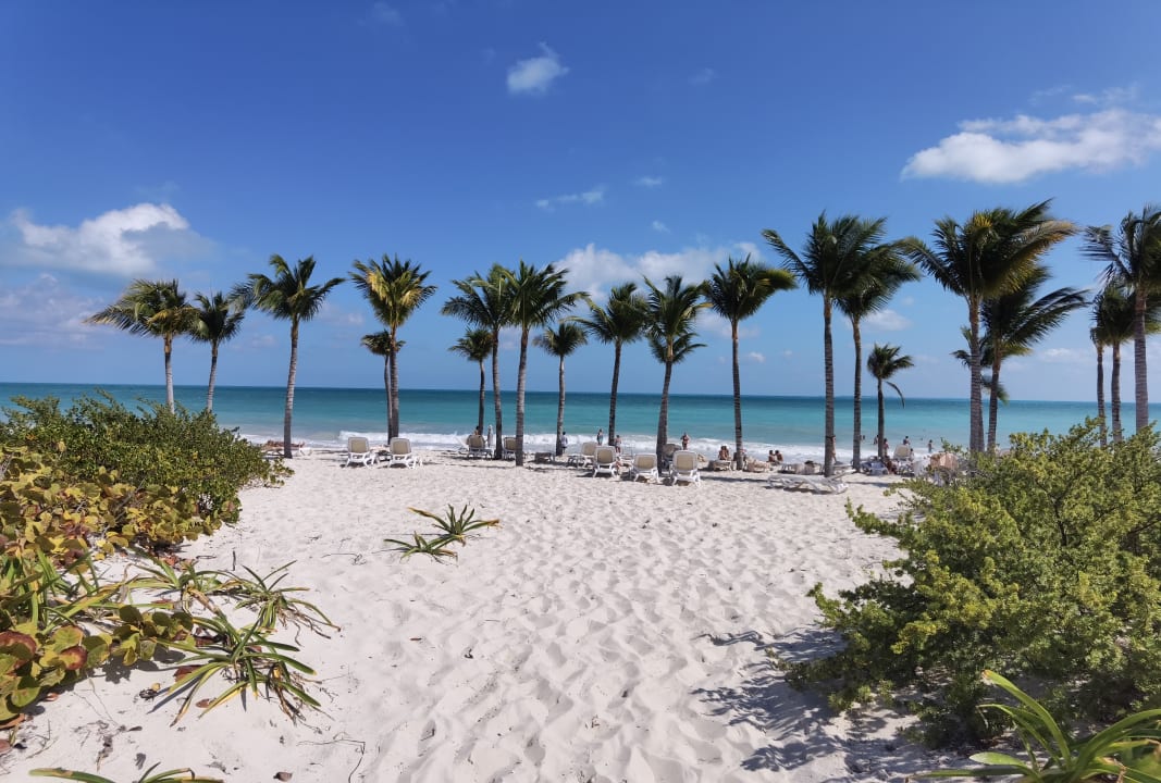 Strand Hotel Riu Dunamar