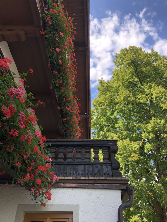 Ausblick Gasthof Tiroler Hof