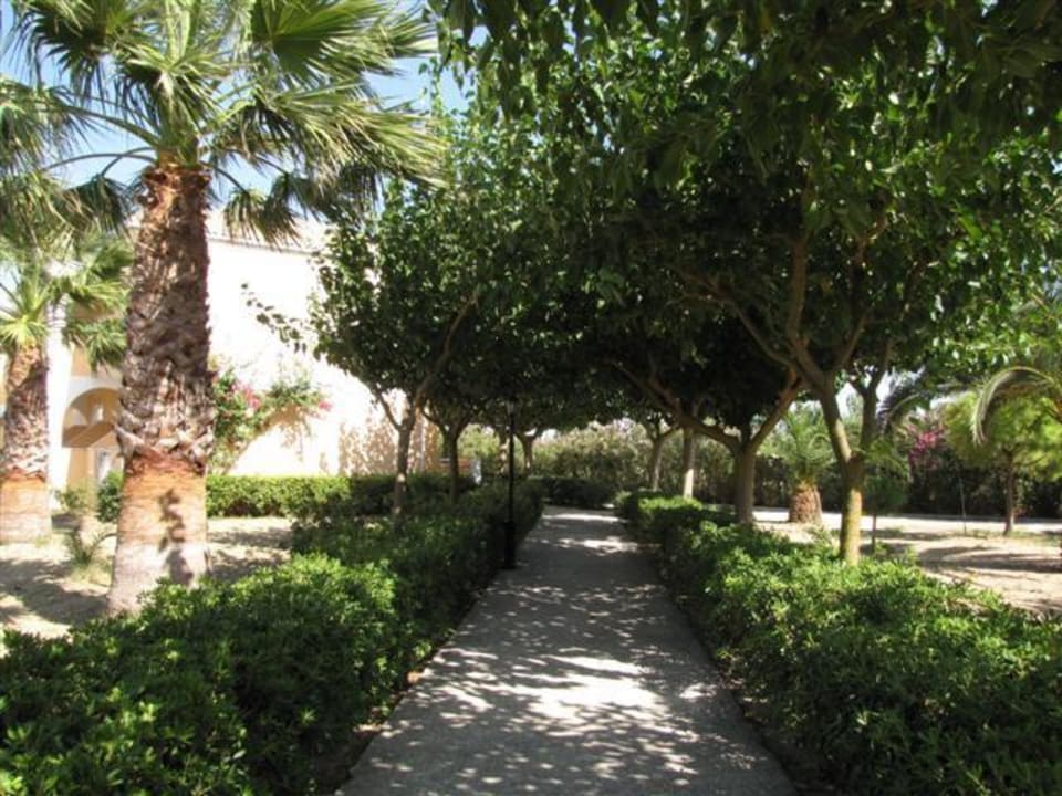 Schöner Weg vom Haupt- zum Nebenhaus Hotel Sirocco