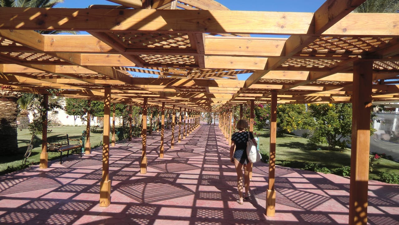 Überall Pergolas Desert Rose