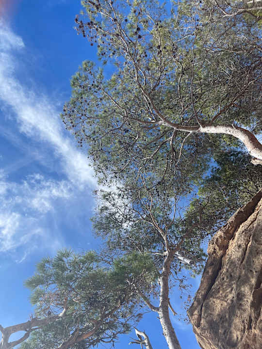 Ausblick Hotel Aldea Cala Fornells 2