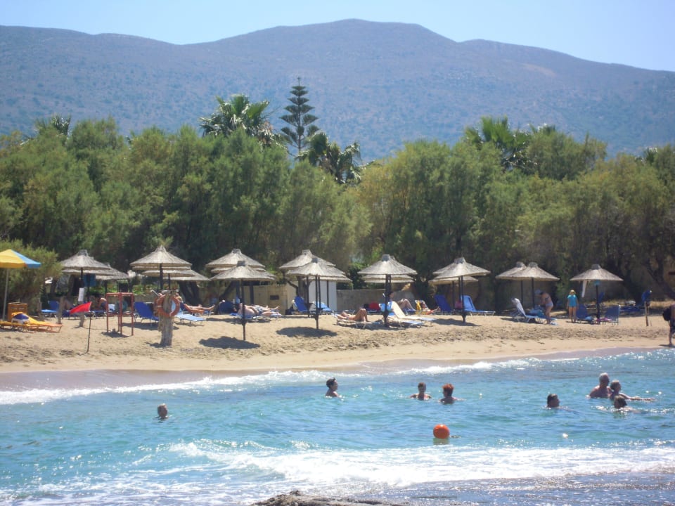 Strand Phãea Cretan Malia
